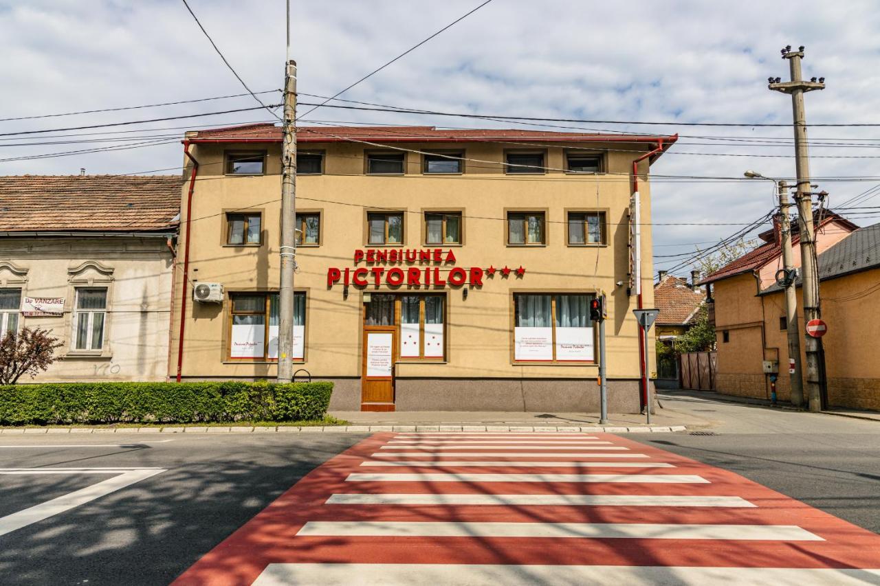 Pensiunea Pictorilor Baia Mare Exterior photo