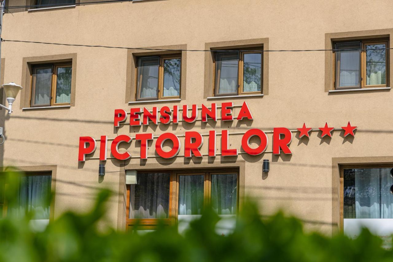 Pensiunea Pictorilor Baia Mare Exterior photo